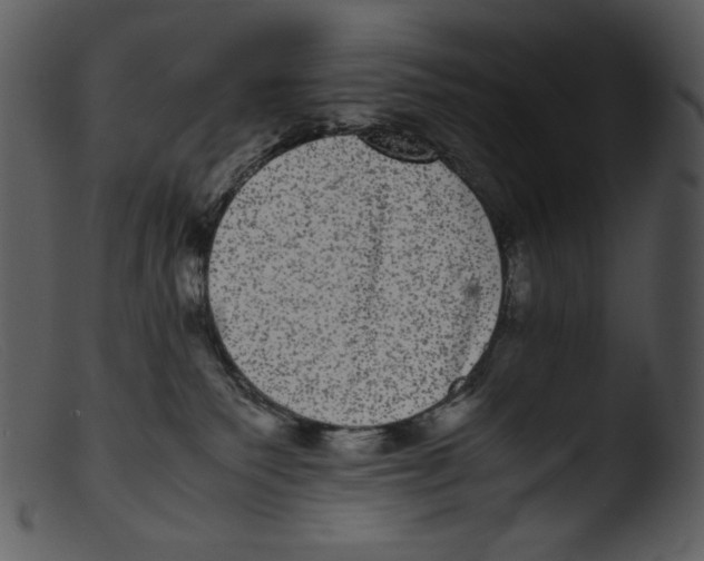 X0000103270135200809261210
