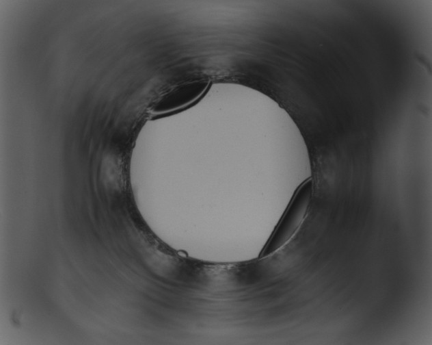 X0000103270136200809261210