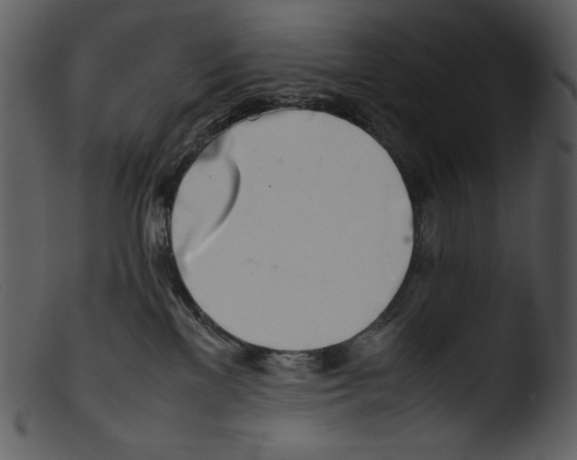 X0000103270137200809261210