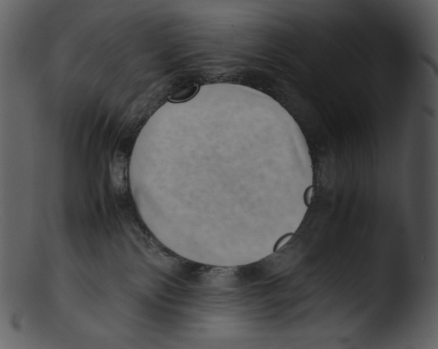 X0000103270138200809261210