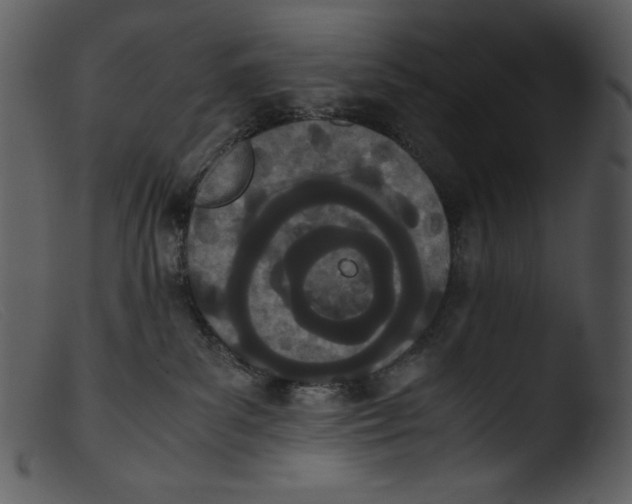 X0000103270139200809261210