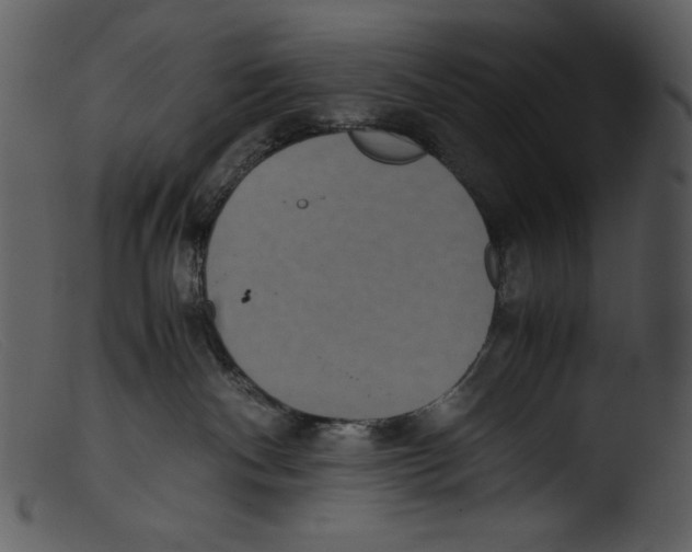 X0000103270140200809261210