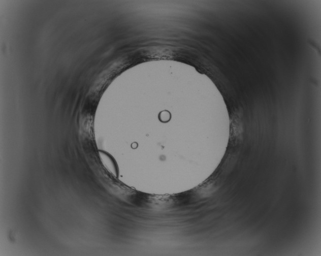 X0000103270141200809261210