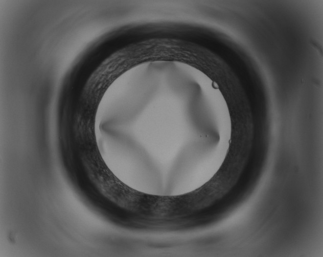 X0000103270142200809261210
