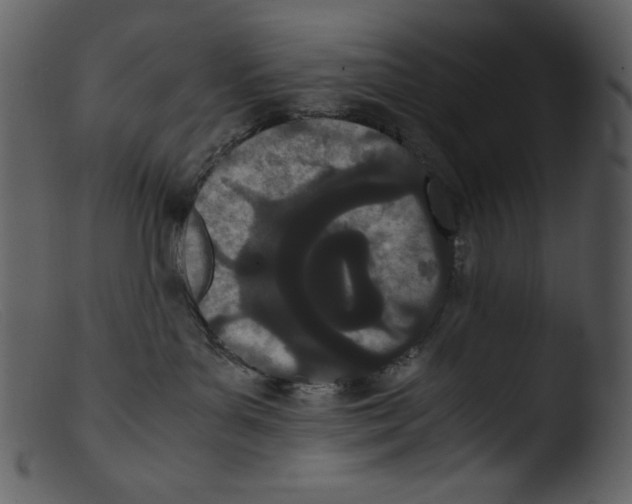 X0000103270143200809261210
