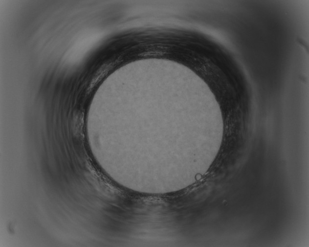 X0000103270146200809261210