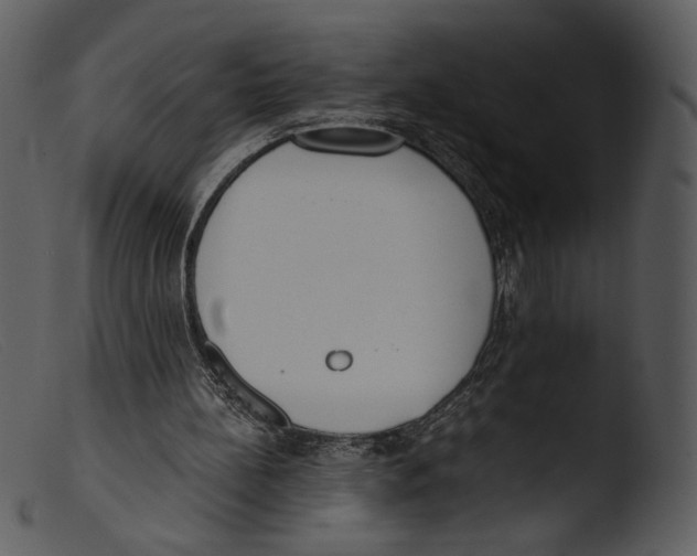 X0000103270148200809261210