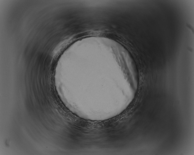 X0000103270149200809261210