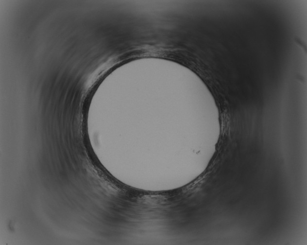 X0000103270150200809261210
