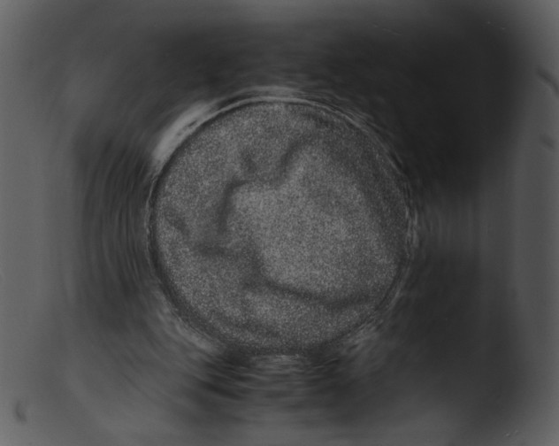 X0000103270151200809261210