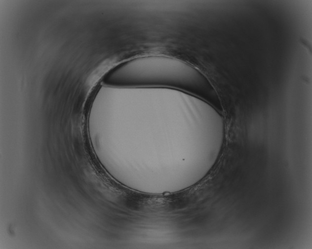 X0000103270152200809261210