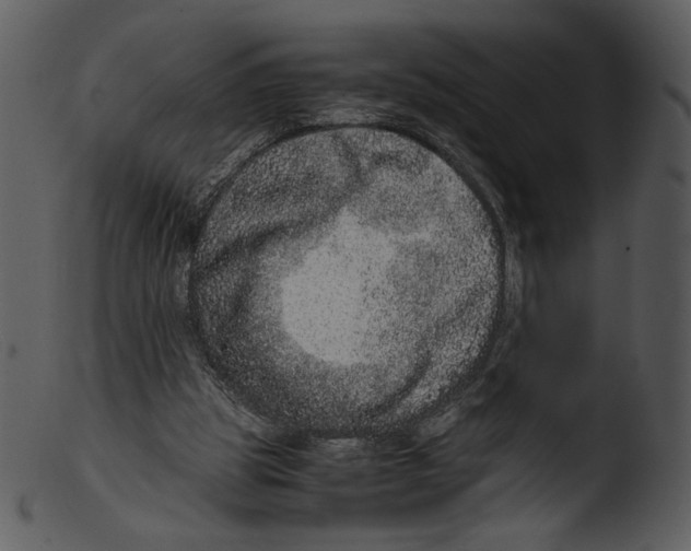 X0000103270153200809261210