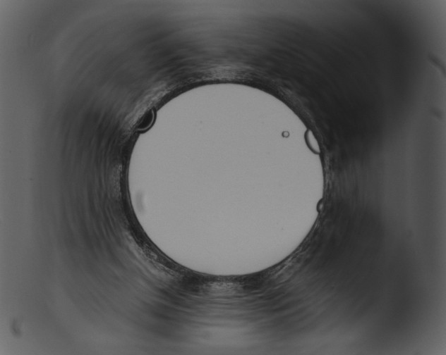 X0000103270154200809261210