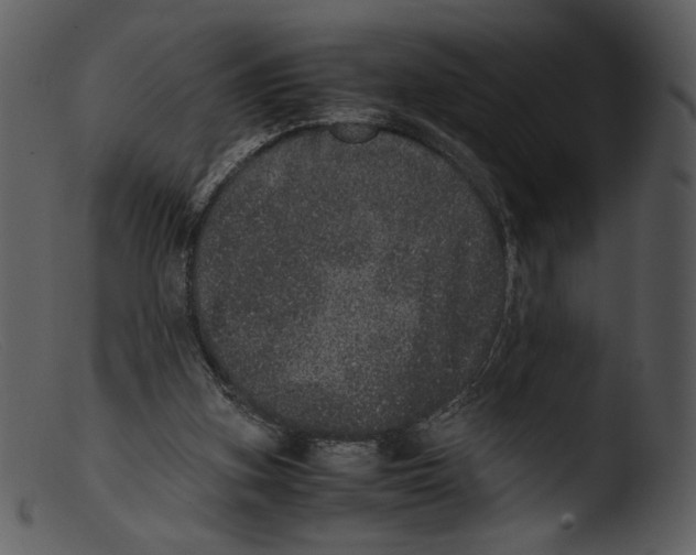 X0000103270155200809261210
