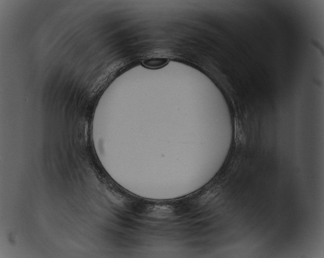 X0000103270157200809261210