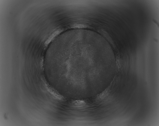 X0000103270159200809261210