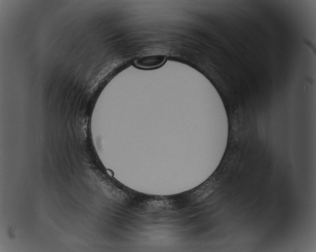 X0000103270160200809261210