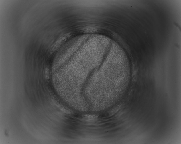 X0000103270161200809261210