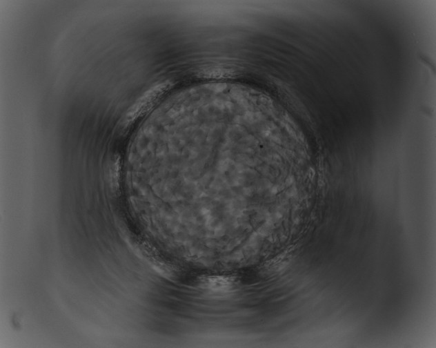 X0000103270163200809261210