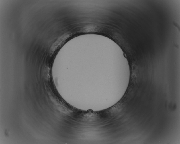 X0000103270164200809261210
