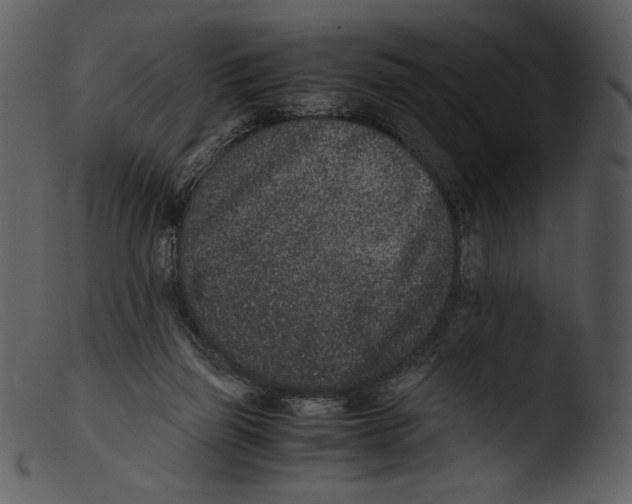 X0000103270165200809261210