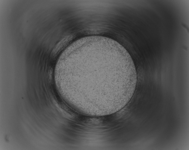 X0000103270166200809261210