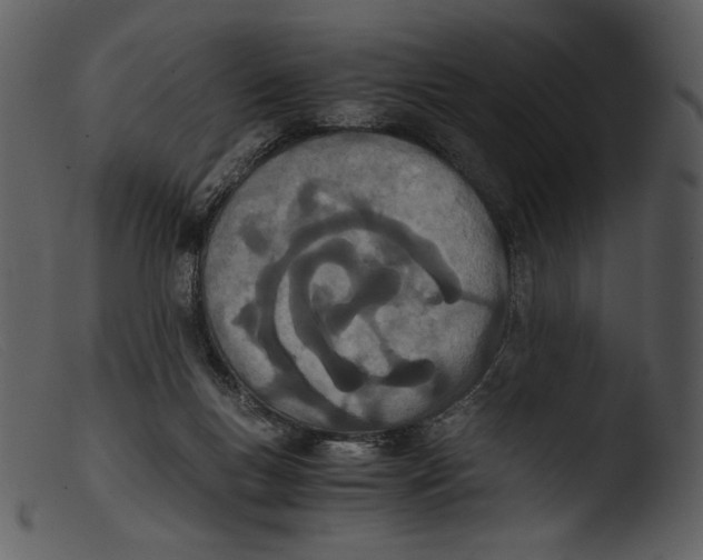 X0000103270167200809261210