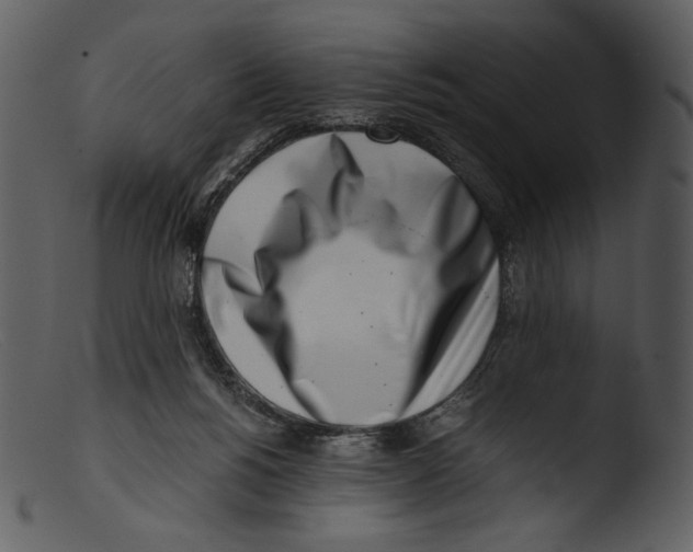 X0000103270168200809261210