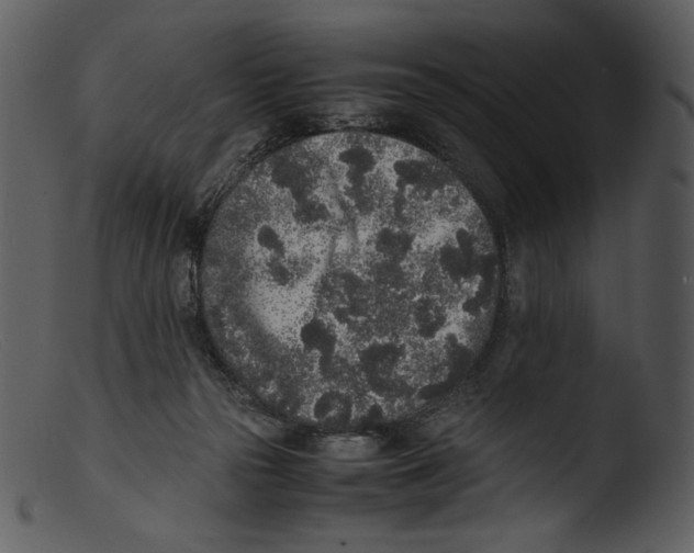 X0000103270169200809261210