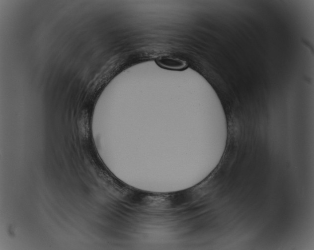 X0000103270170200809261210