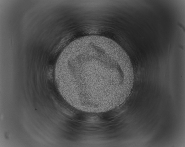 X0000103270175200809261210