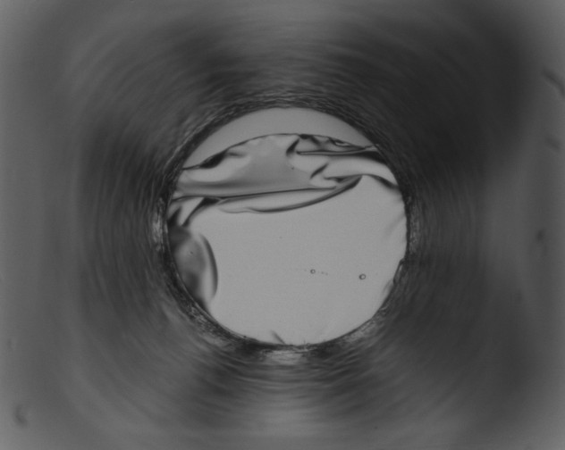 X0000103270176200809261210