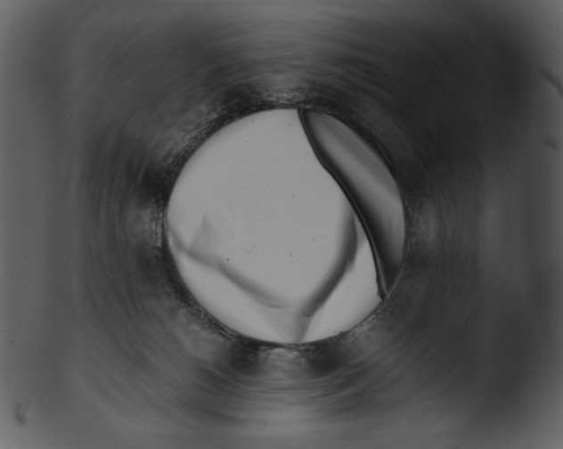 X0000103270180200809261210