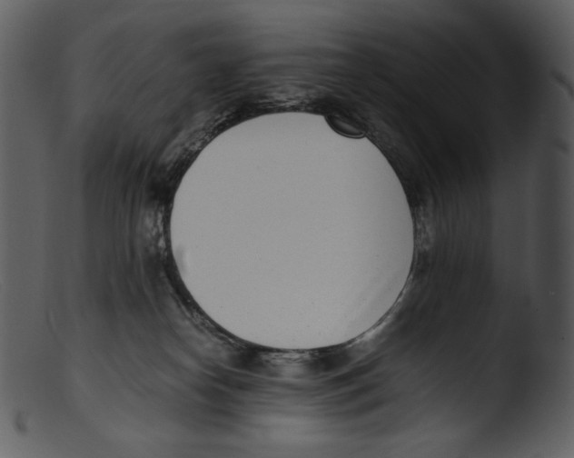 X0000103270182200809261210