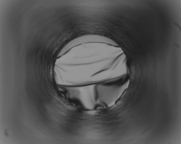 X0000103270184200809261210