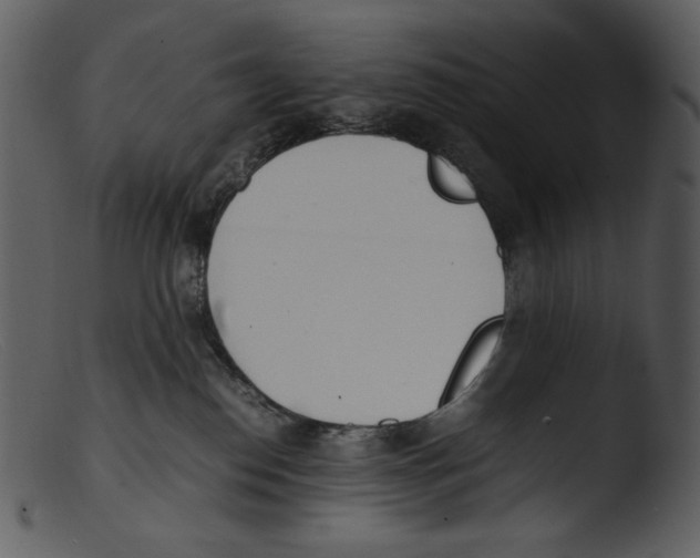 X0000103270186200809261210