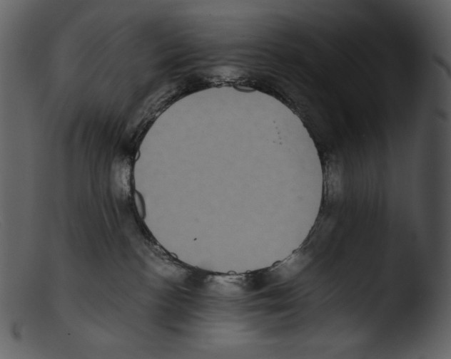 X0000103270188200809261210