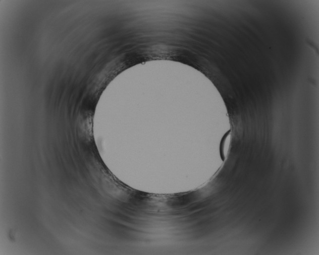 X0000103270190200809261210