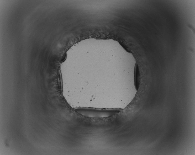 X0000103270192200809261210