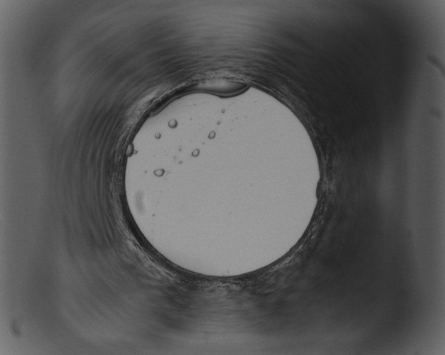 X0000103270193200809261210