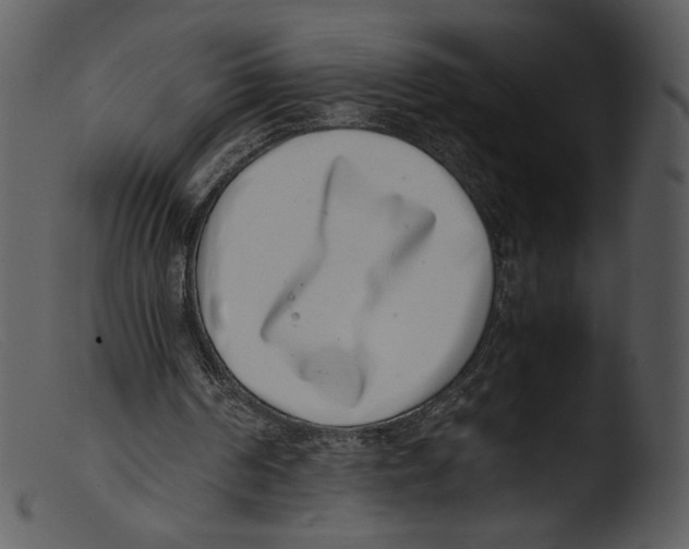 X0000103270194200809261210