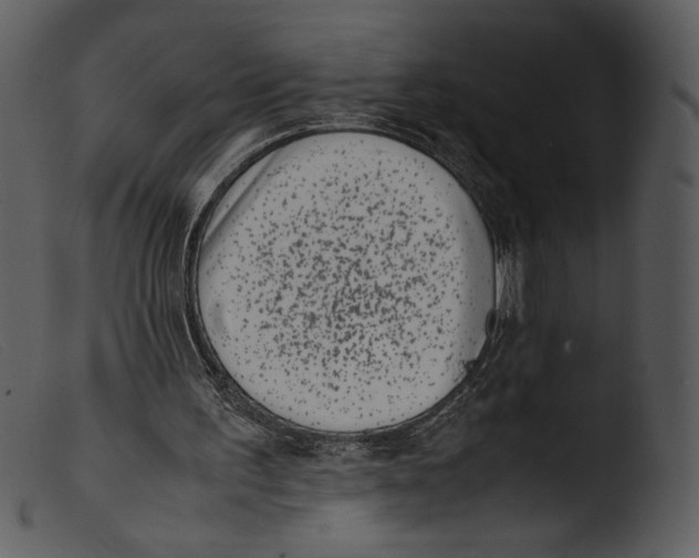 X0000103270195200809261210