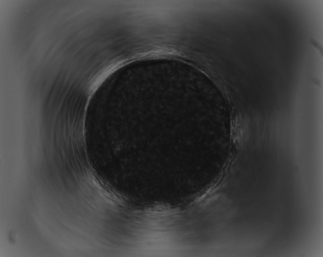 X0000103270196200809261210