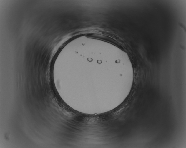 X0000103270200200809261210