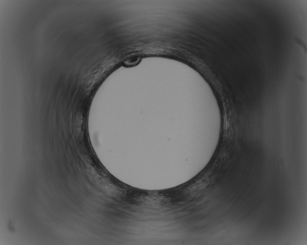 X0000103270201200809261210