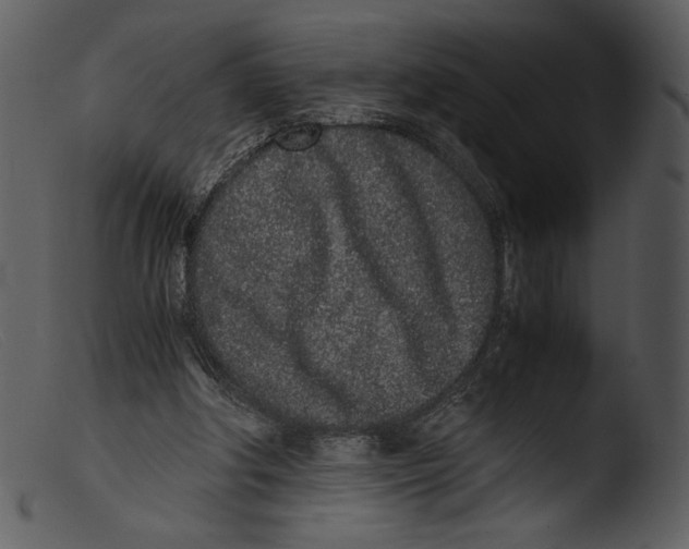 X0000103270202200809261210