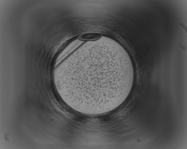 X0000103270203200809261210