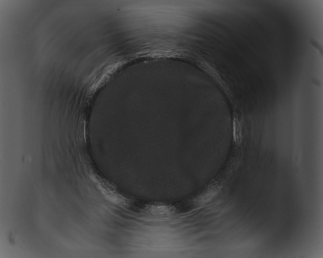 X0000103270205200809261210