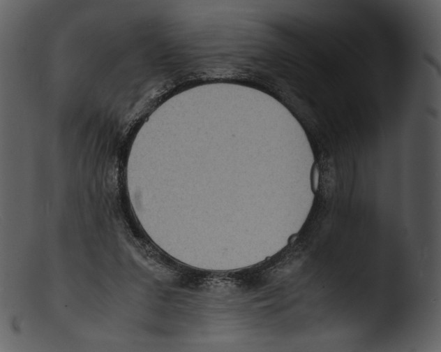X0000103270207200809261209