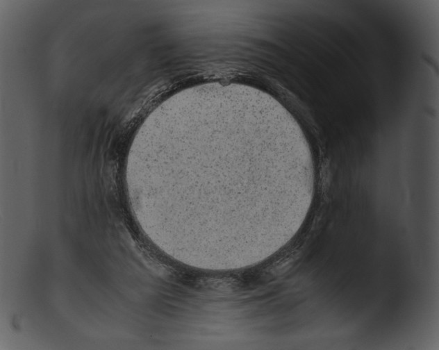 X0000103270209200809261209